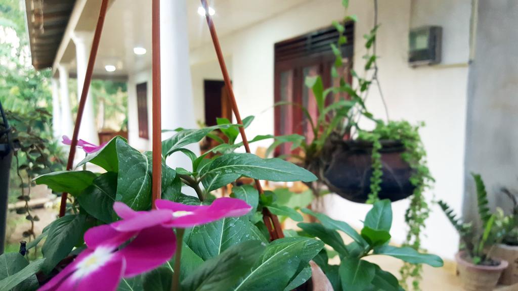 Kassapa Home Stay Σιγκιρίγια Εξωτερικό φωτογραφία